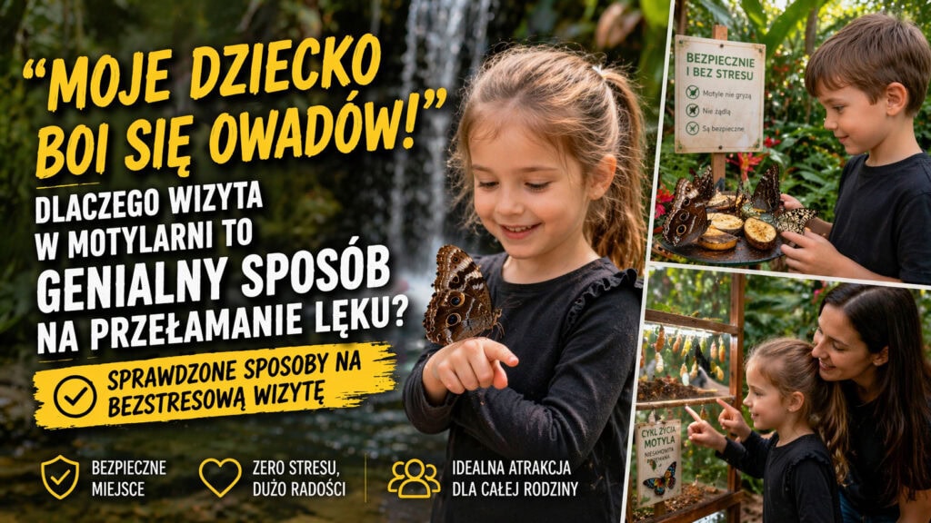 Moje dziecko boi się owadów. Czy Motylarnia to dobry pomysł?